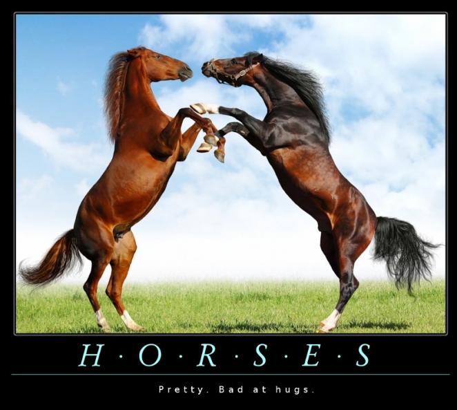 Horses: Bad at hugs